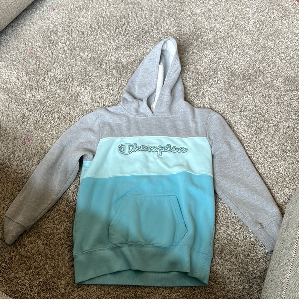 Champion sweatshirt